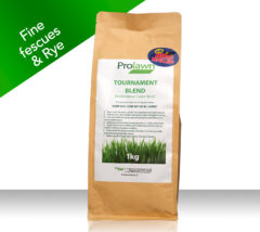 tournament blend lawn seed